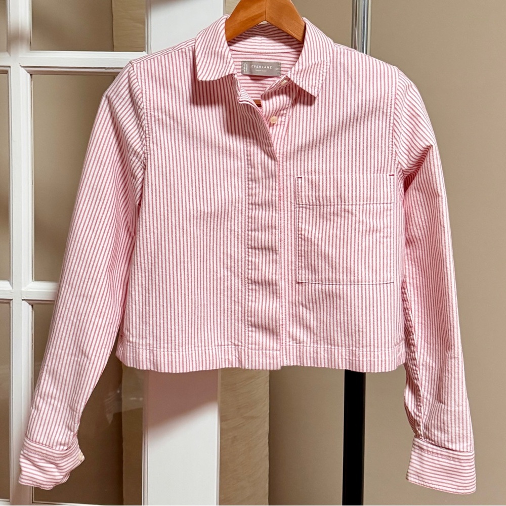 Everlane Pink Striped Organic Cotton Shirket